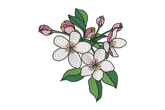 Apple Blossom Elegance Embroidery: A Designer’s Real-World Review
