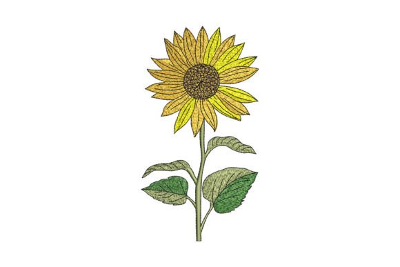 Sunflower Embroidery: A Designer’s Honest Review